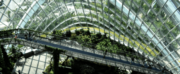 Flotilla creates environment-focused business role image