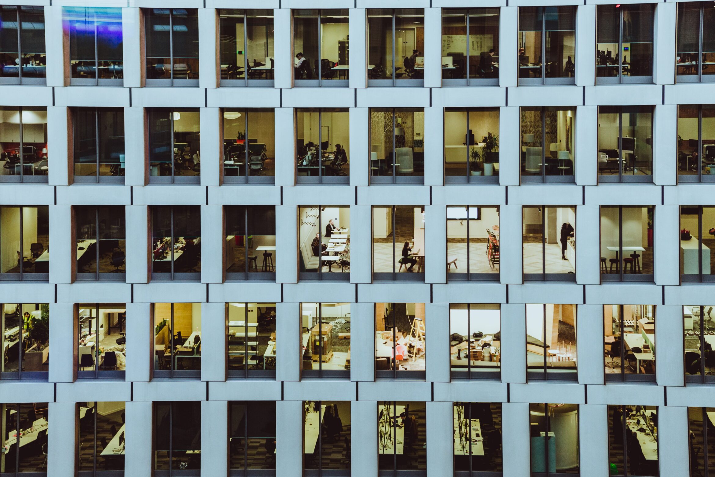 The Business Case for Sustainability