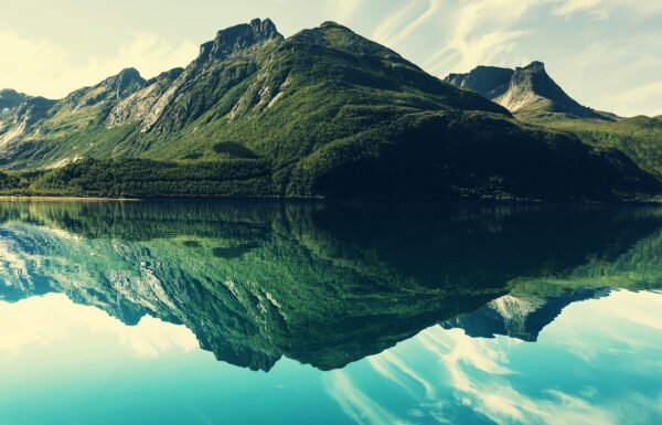 Net Zero: what are you waiting for? image