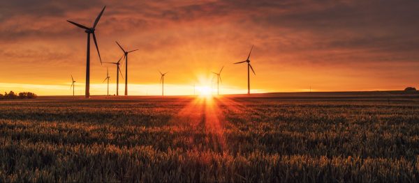 Carbon Neutral vs. Net Zero Emissions image