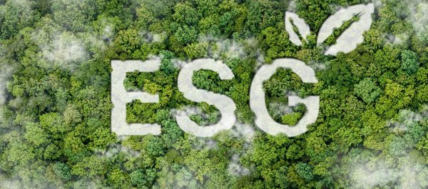 ESG in the finance sector image