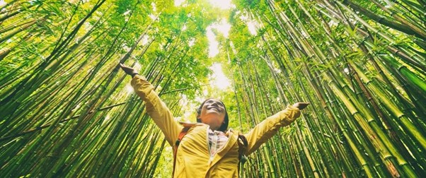 How Travel Insurance is Going Green with the Help of Flotilla