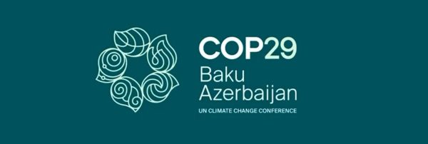 COP29 Wrap-Up: Mixed Reactions to Outcomes image