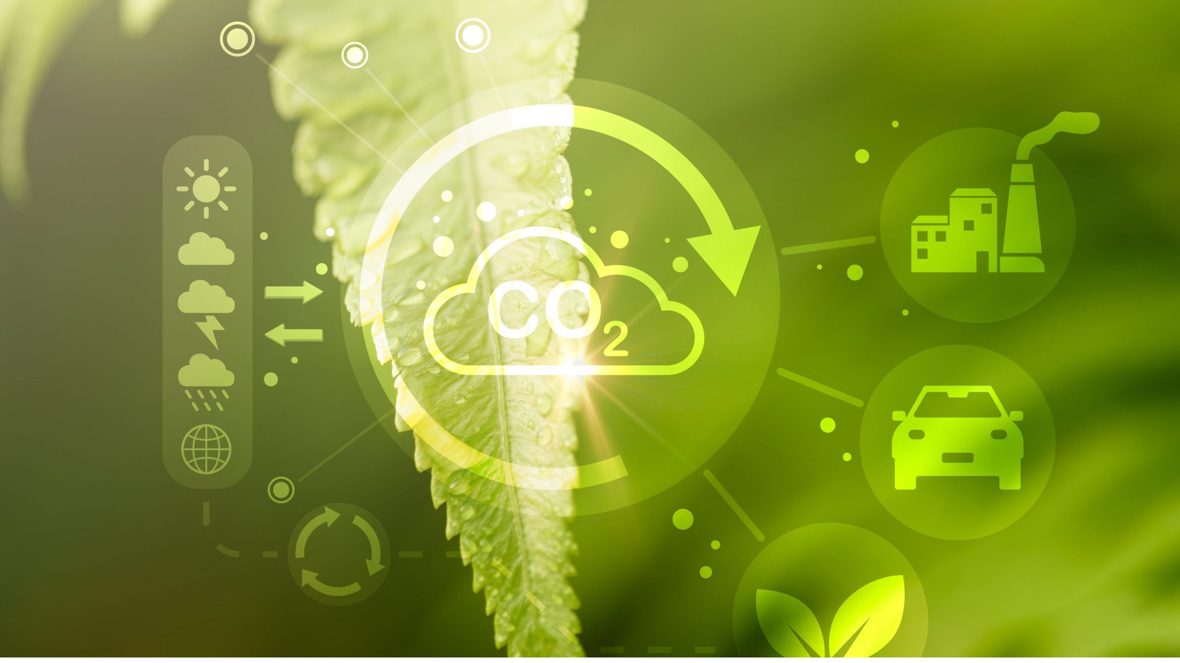 Carbon Accounting: A Guide To Measuring and Reducing Your Emissions
