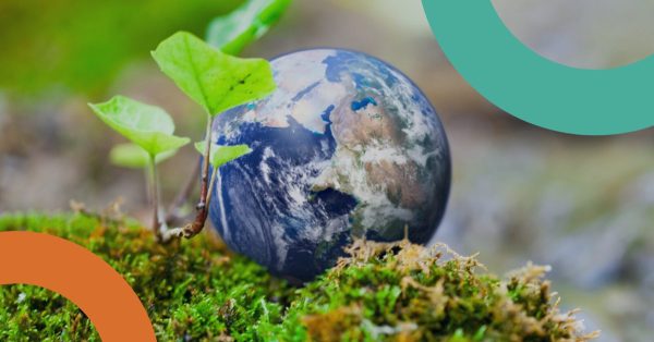 The Difference Between Carbon Neutral vs Net Zero image