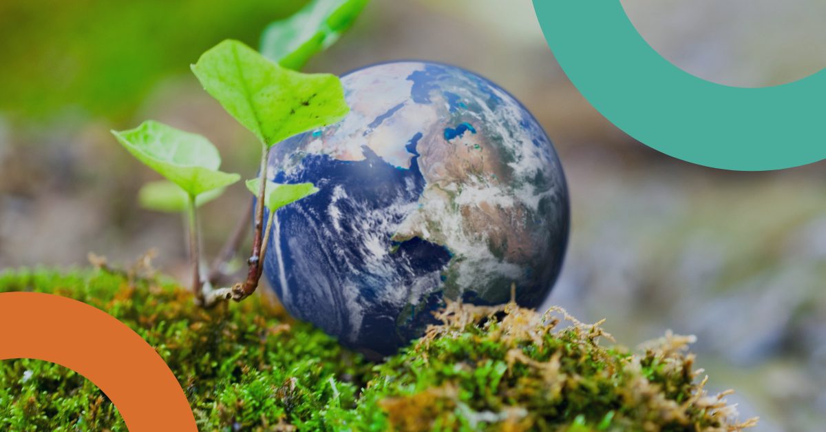 The Difference Between Carbon Neutral vs Net Zero